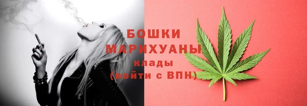 PSILOCYBIN Алексеевка