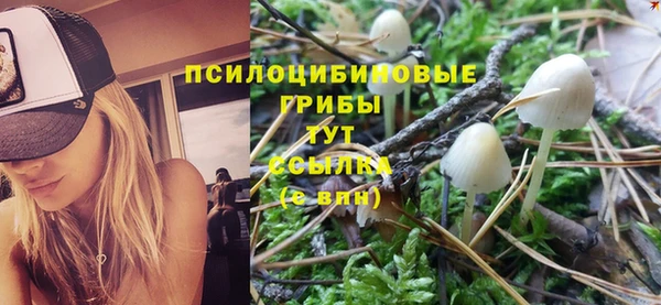 кокс Абаза